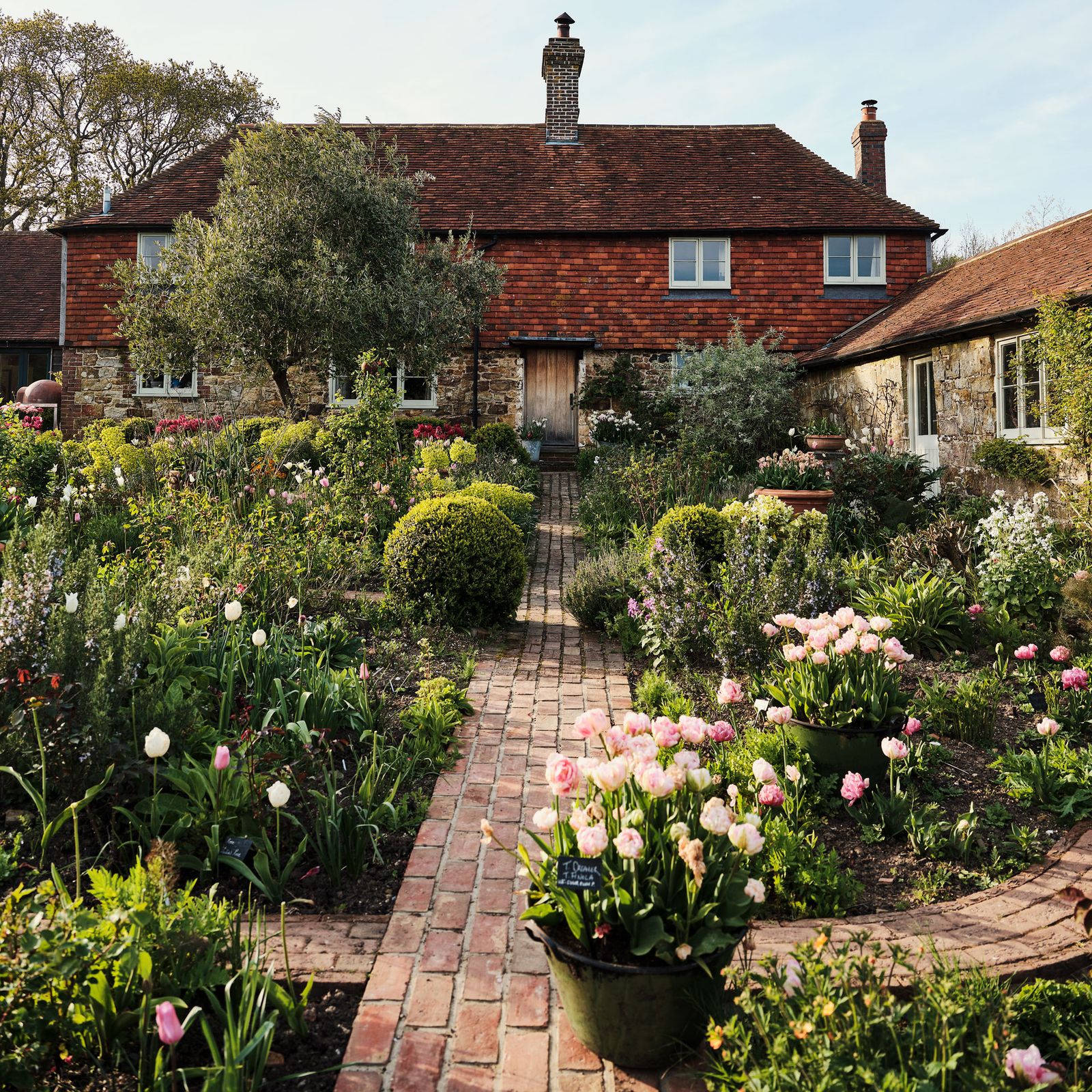 Our most popular garden of 2024: Sarah Raven's tulip-filled garden in Sussex