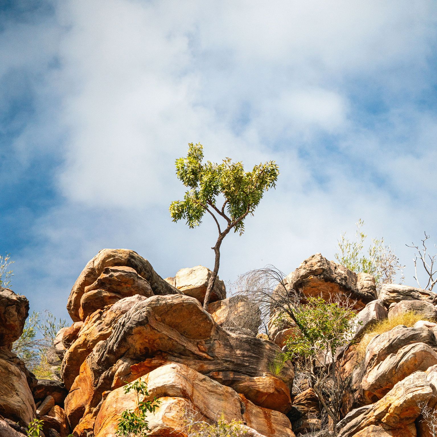 A sailing trip across Australia's wild western frontier